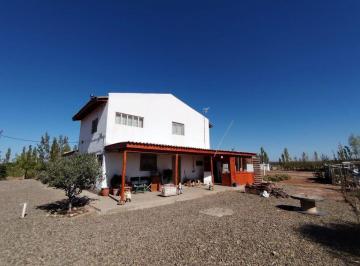 Campo , Senillosa · Laffite Propiedades - Chacra de 2,8 Hectarias (28.000 M&sup2;) con Dos Casas - Senillosa