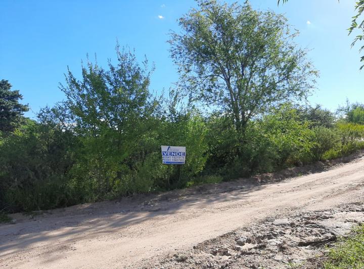 Terreno · 1633m²