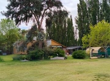 Campo · 7722m² · Chacra en Neuquen