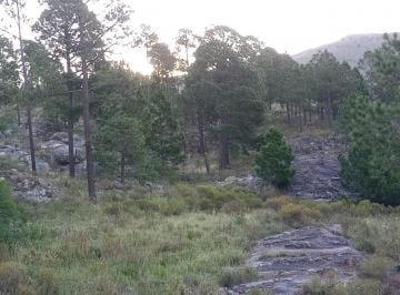 Terreno · 5834m² · San Clemente: Terreno 5.800 m² en Venta, El Mejor Lugar de Las Sierras!
