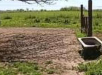 Campo , Retamal · Campo en Venta, 4.753 Hectáreas en La Rioja / Argentina. Ubicació Campo Ganadero