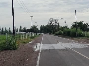Terreno , Algarrobo Grande · Arrendamiento Rural
