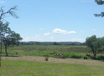 Campo de 8 ambientes, Rosario de la Frontera · Finca 200hs