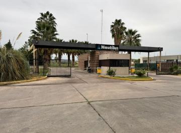 Terreno , El Sauce · Lote 971 m² en Nautillus (Guaymallén) — Zona Privilegiada