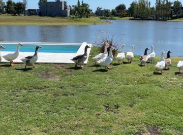JSP-JSP-5051_2 · Venta de Casa de 3 Dorm. en Club de Campo La Faustina, en Brandsen