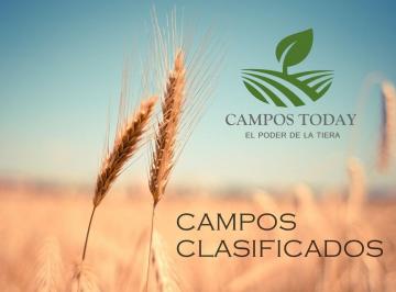 Campo , Pozo del Molle · Vendo Establecimiento Rural 280 Ha Premium en San Antonio de Litin