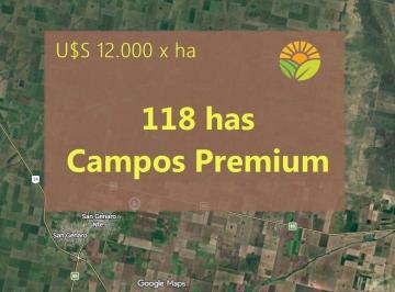 Campo , San Genaro · Vendo Campo de Soja – 118 Has en San Genaro, Santa Fe ️
