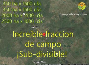 Campo , Selva · Vendo Campo de 700 Ha en Selva, Santiago del Estero