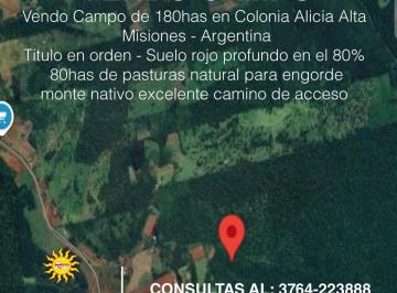 Campo , Veinticinco de Mayo · Vendo Campo en Colonia Alicia Alta Misiones Argentina
