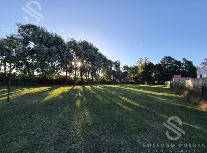 Terreno · 803m²