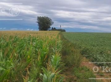 Campo · 760000m² · Campo en Venta de 76 Has en Baradero