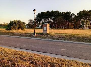 Terreno · 866m² · Terreno de 1001 m² Venta Pilará Tilbury Frente a Cancha de Polo 5