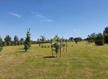 Terreno · 5568m² · 1 Ambiente · Lote 5500 Mtr2 con Proyecto Aprobado La Ceccilia
