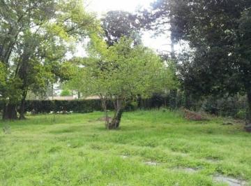 Terreno , Vicente López · Lote a m de Calle Sivori