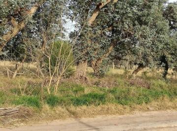 Terreno · 1264m² · Terreno en Venta - 1.264 m² - El Rodeo