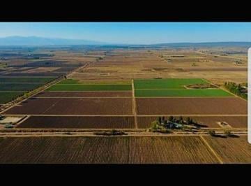 Campo , Luján de Cuyo · Finca en Venta con 45 Ha en Luján de Cuyo