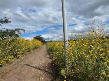 Terreno · 200m² · Venta Terreno Luna Cautiva Lote 10 - El Carmen