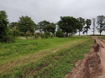 Terreno · 336m² · Terreno en Venta en Andino