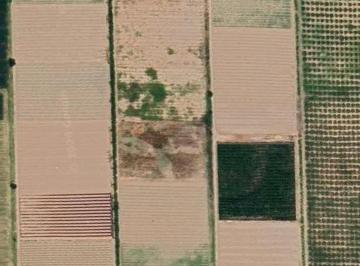 Terreno de 2 ambientes, Lavalle · Alquilo Finca en Las Violetas con Pozo