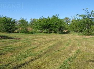 Terreno · 5200m² · Venta Lote de 5200 m² en Etchegoyen, Exaltacion de La Cruz