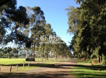Terreno · 446m² · Lote Venta de 446 m² en Santo Tomás Pilar
