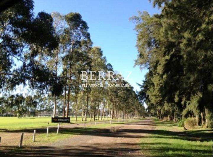 Terreno · 446m²