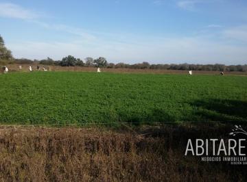 Campo · 1880000m² · Vendo 188 Has en Los Pereyra - V. Robles - Santiago del Estero