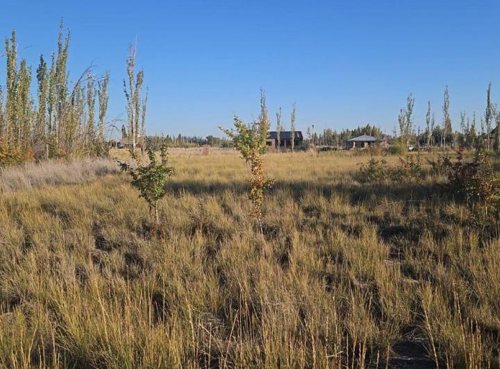 Terreno · 1490m²