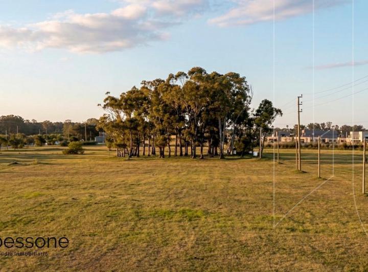Terreno · 562m²