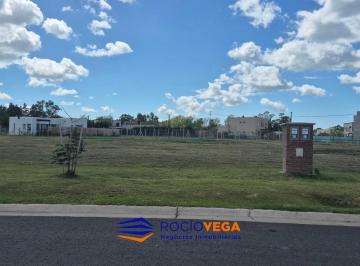 Terreno · 545m² · Lote en Venta en Santa Sofía Pilar del Este