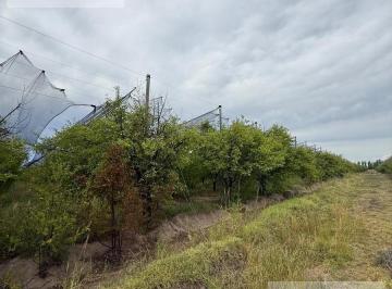 Terreno · 75000m² · Finca en Goudge