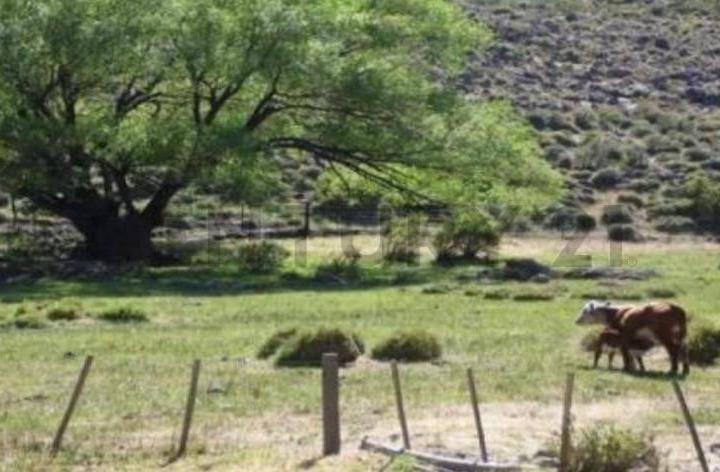 Campo · 300m²