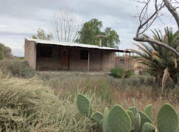 Campo , Lavalle · Rem Propiedades Vende Finca en Lavalle Mendoza
