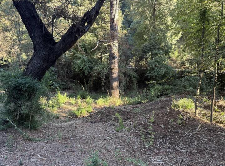 Terreno · 16600m²