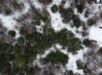 Terreno · 120000m² · Venta Terreno San Martin de Los Andes. 12 Ha.