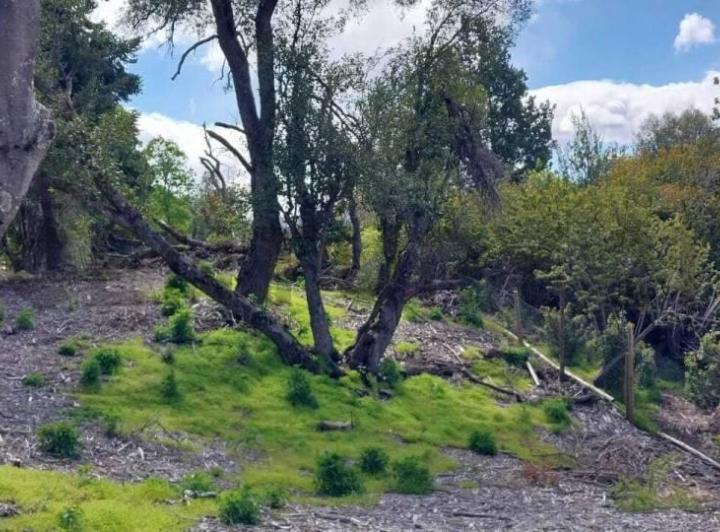 Terreno · 1100m²