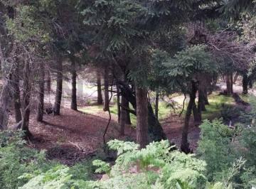Terreno · 1000m² · Venta Terreno San Martin de Los Andes. Alihuen Alto C/ Financiacion