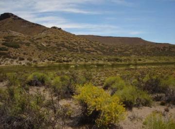 Campo · 180m² · Venta Campo Bariloche Jacobacci - Ovejero y Ganadero