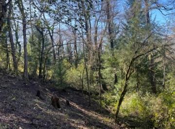 Terreno · 2740m² · Venta Terreno San Martin de Los Andes. Barrio Alihuen Alto