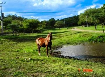 Terreno , Malagueño · San Nicolas + 9.000 m² Oportunidad!!!