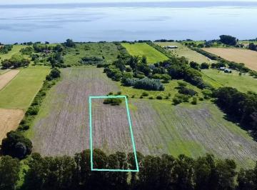 Campo · 12790m² · 1 Cochera · Colonia - San Pedro - Venta de Chacra de 1 Hectárea 1074 m²