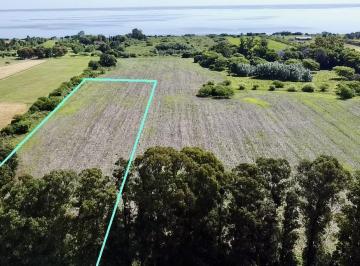 Campo · 11074ha · 1 Cochera · Colonia - San Pedro - Venta de Chacra de 1 Hectárea 1279 m²