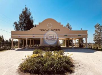 Terreno · 649m² · Lote 649 m² Venta Fincas Joven San Vicente