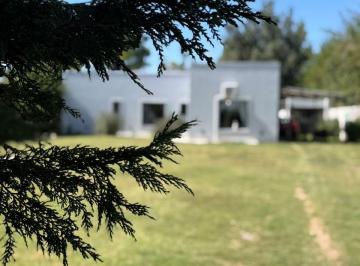 Casa de 3 ambientes, Suipacha · Casa Quinta en Venta en Suipacha con Piscina y Amplio Jardín