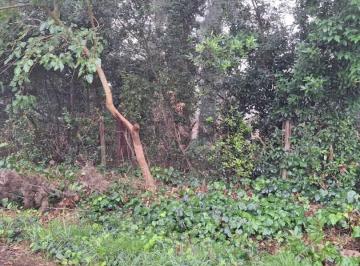 Terreno · 297m² · 27 Bis Entre 422 y 426, Lote en PH en Venta, Villa Elisa.