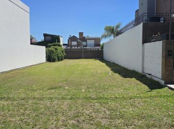 Terreno · 336m² · Terreno en Venta en El Centro de Arroyo Seco.