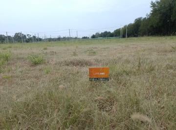Terreno · 331m² · Terreno en Ibarlucea