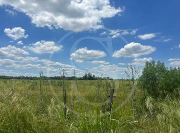 Campo · 52000m² · 1 Ambiente · Campo en Venta Etchegoyen 5.2 Ha