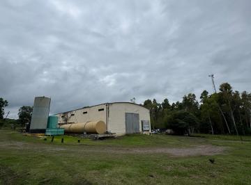 Campo · 20000m² · Lote en El Naranjo - Ruta 321 Km 12