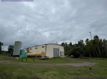 Campo · 20000ha · Lote en El Naranjo - Ruta 321 Km 12